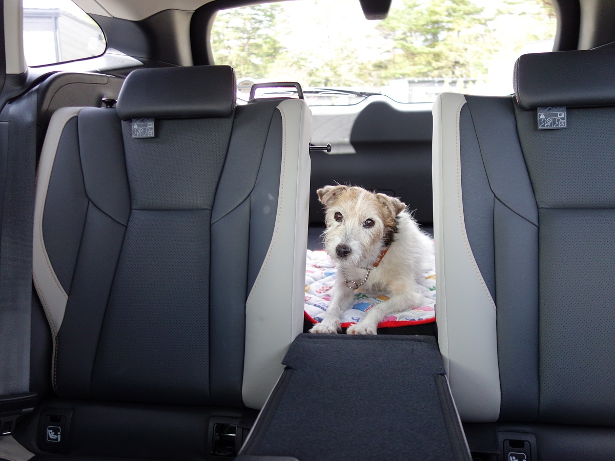 カローラクロスの後部座席を徹底紹介！広さ・空間・シートアレンジも – モビリコマガジン