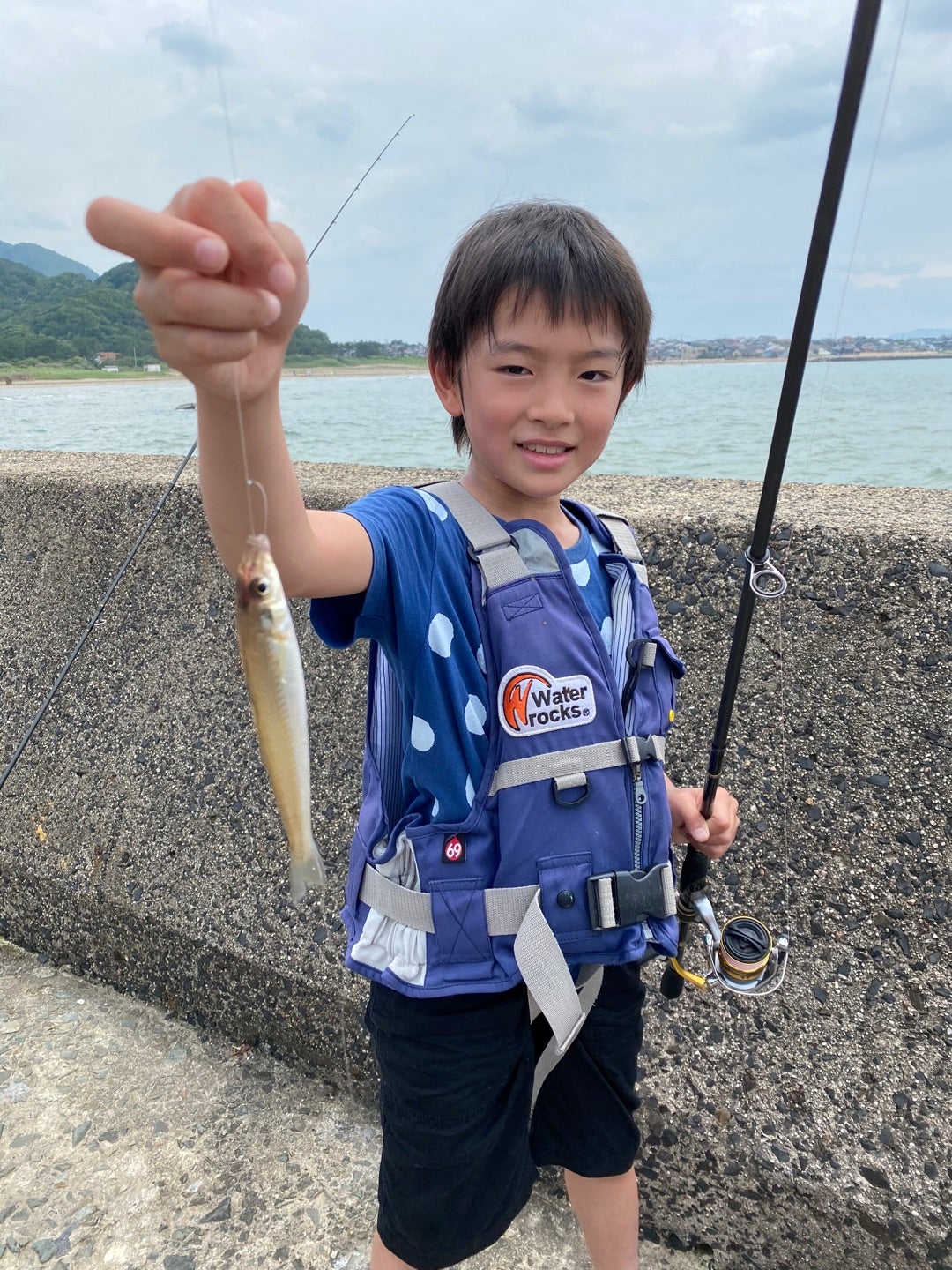 きららビーチ」でのサヨリ釣りで本命11尾 山口 遊動カゴ仕掛けで挑戦2024年5月20日-