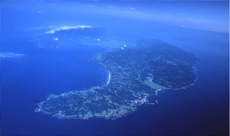 佐渡島現地の海から～水深別魚ッチング！～Marine Diving web