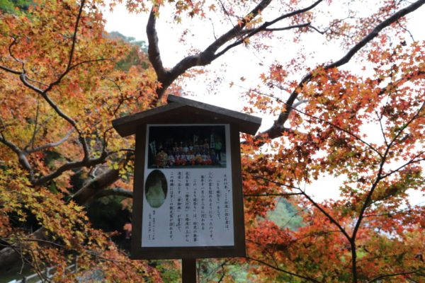 白滝公園 大洲市子供とお出かけ情報「いこーよ」