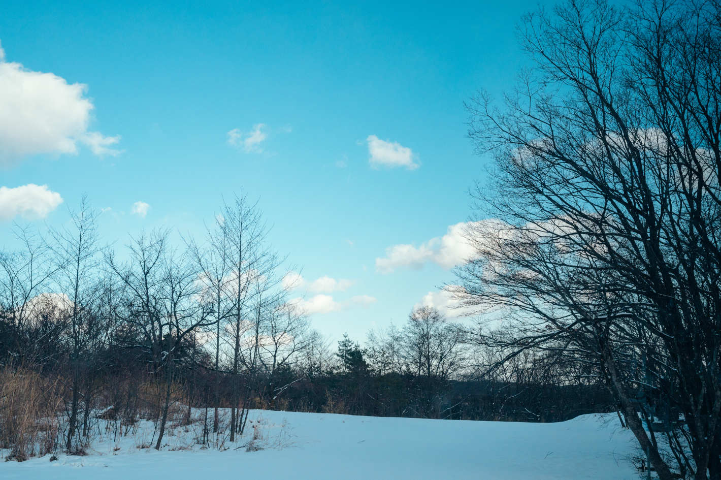 宮城県の写真撮影スポット日本全国写真撮影スポットGANREF