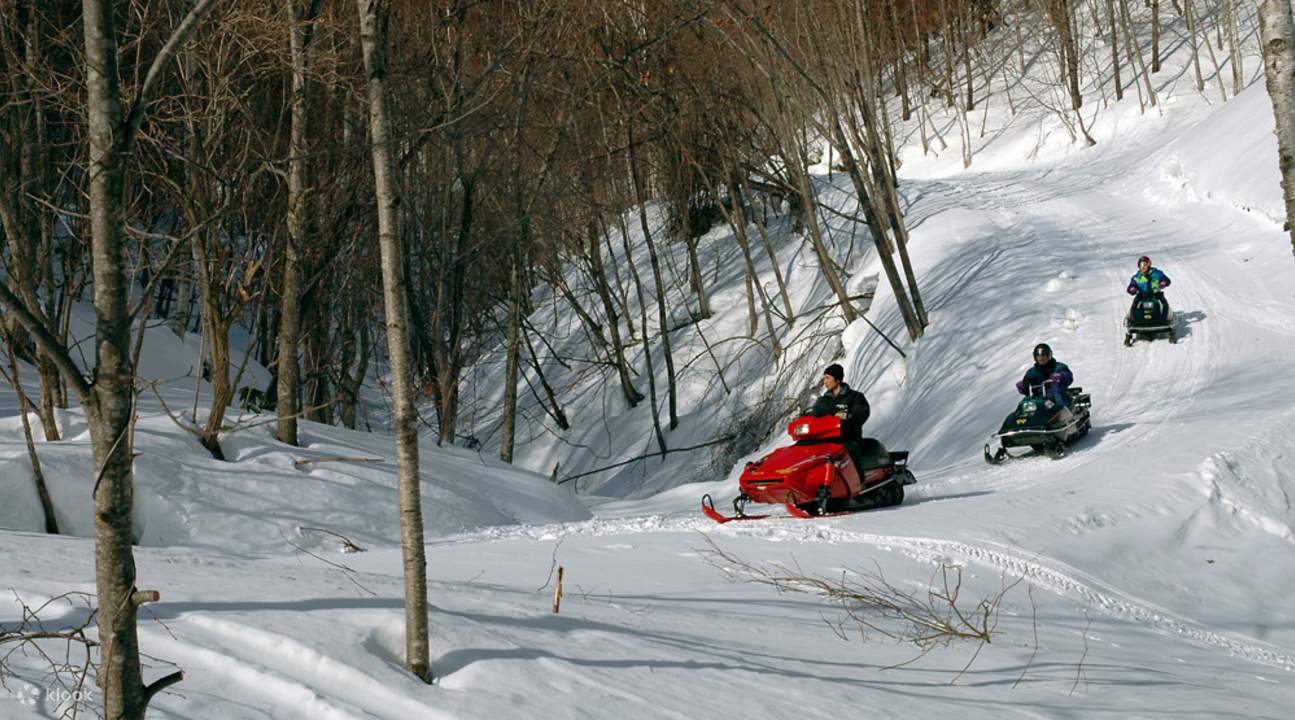 コースメニューSnowmobileland