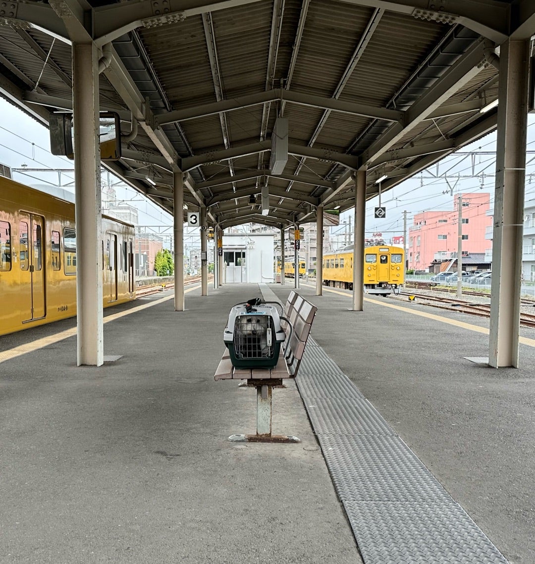 エヴァンゲリオンの魅力を探るTikTok