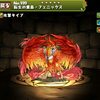 今日限定 無課金勢必見！レイランバード素材のフェニックス集め！ パズドラ