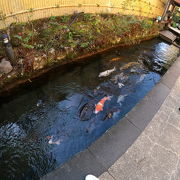 いがわこみちいがわ小径