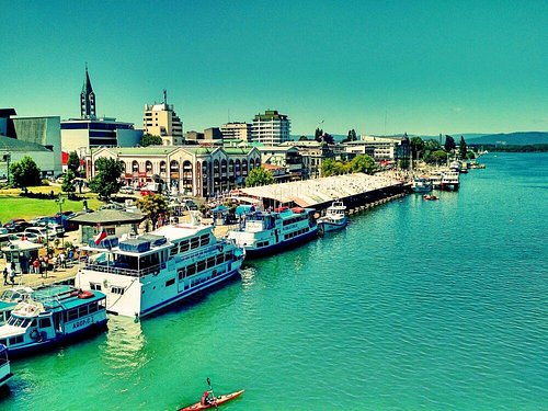 チリの国民的絵本作家がおくる、親子のつながりをえがく物語『わたしたち』発売絵本ナビスタイル