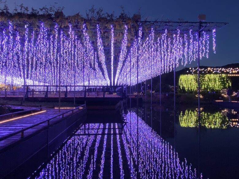 てくてくカメラ - 足利で出会う、光り輝くイルミネーションの世界Enjoyニコンニコンイメージング