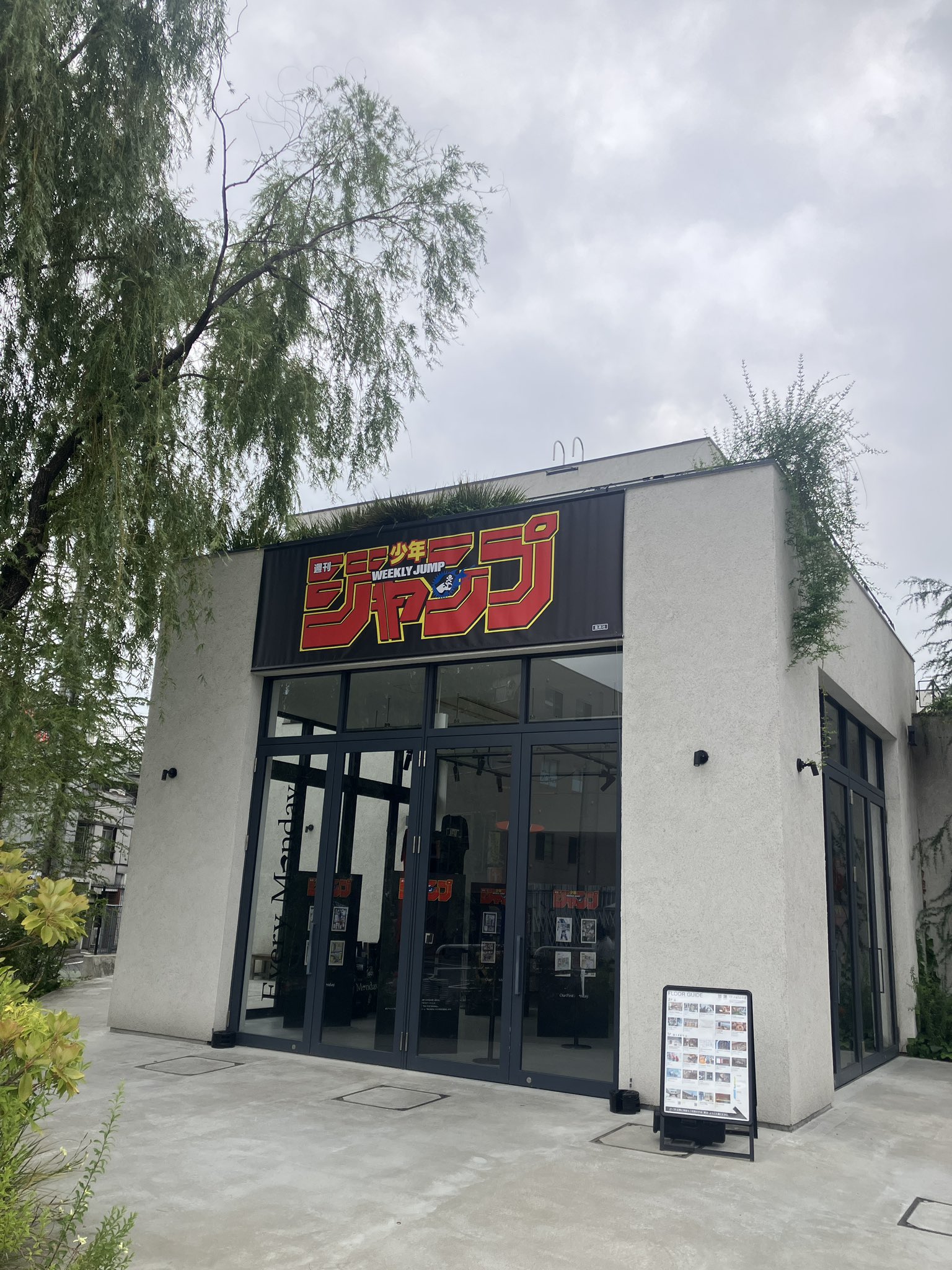 SYSTEM - 下北沢シャングリラ下北沢シャングリラ