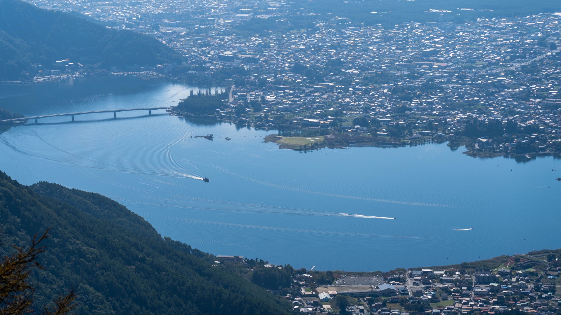 LIVE 河口湖大石公園富士山ライブカメラ ライブ 