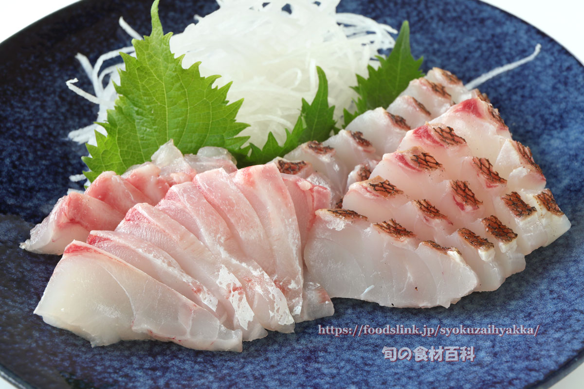 沖縄遊漁船 ワイルドⅡ:今季初マチ漁