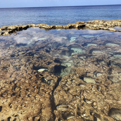 海軍棒プール 南大東島Trip.com 南大東村