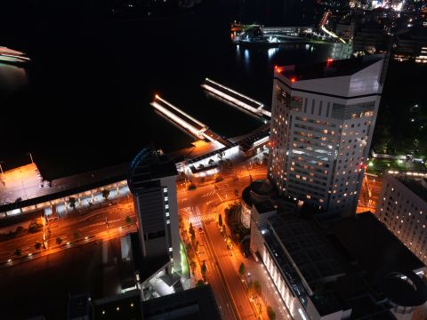 MEGACITY東京のドライブスポット12選！ 光の洪水の夜景を楽しむ公式 カーシェアならdカーシェア ドコモ