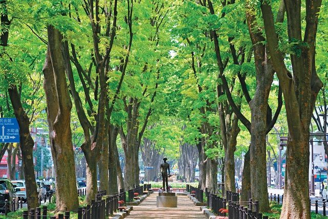 紅葉の竜の口渓谷と八木山橋 * 呪術廻戦の鯉ノ口峡谷八十八橋は