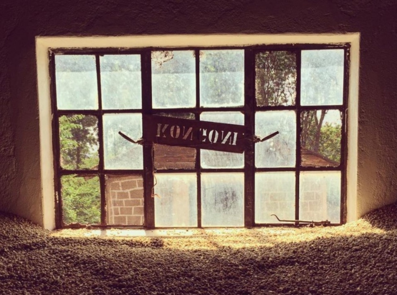 タンザニア ンゴロンゴロ アガワルファミリー