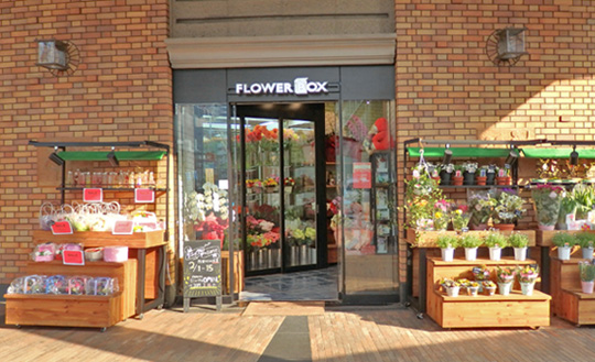 海外からの花束プレゼントfromトロントプロポーズフラワーショップ