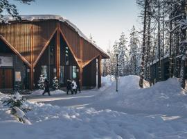 2025 ロヴァニエミ：ホテル送迎付きサンタクロース村訪問フィンランド -