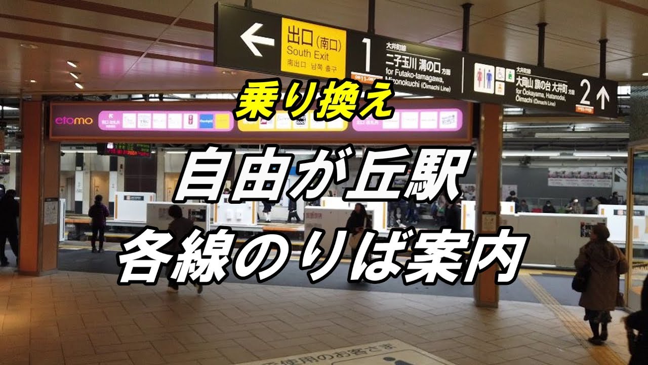 自由が丘駅東急大井町線：路線図 ホームメイト