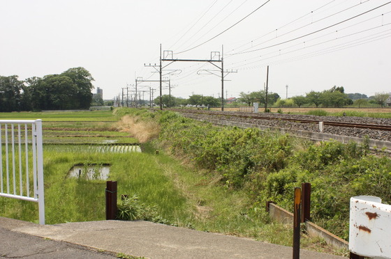 カシオペア紀行 仙台行 ヒガハスにて 2024.11.24