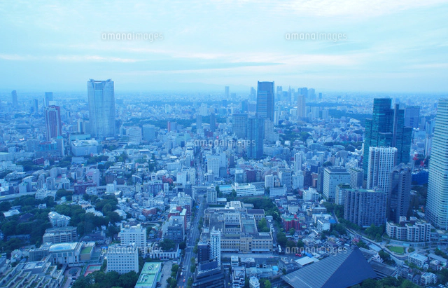 東京: 大都会の顔岩波写真文庫 川本三郎セレクション 復刻版本通販Amazon