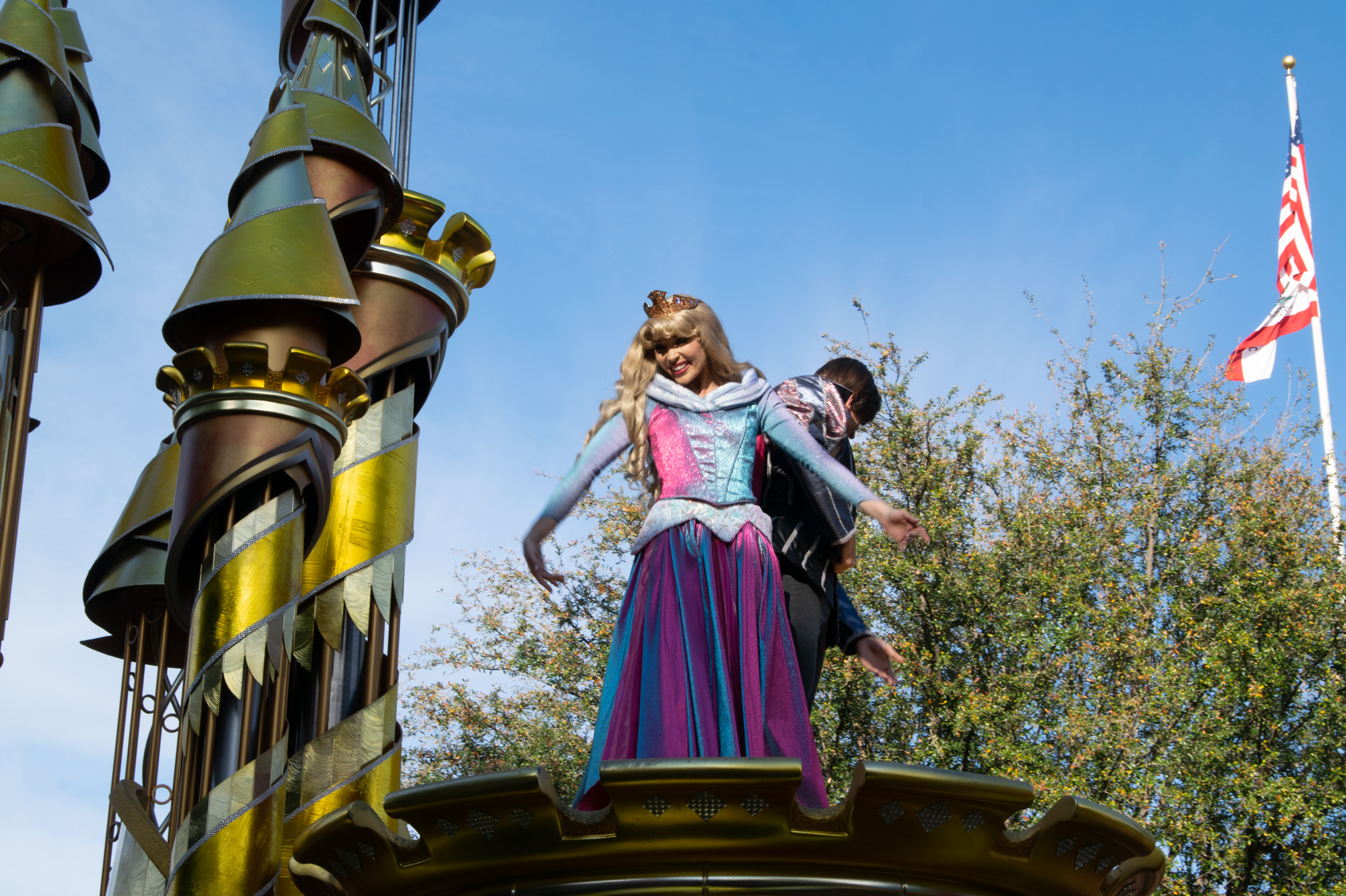 Amazon.co.jp: 眠れる森の美女ディズニー プレミアム・コレクション: