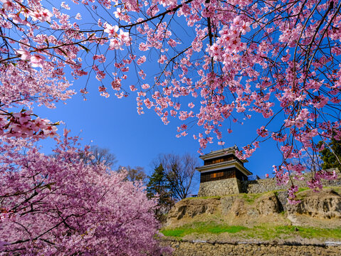 日本100名城® 長野県・上田城nippon.com