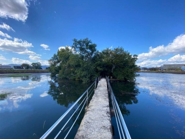 滋賀旅行ならココ！ 滋賀県のインスタ映えスポット７選ゆとりまいんどブログ