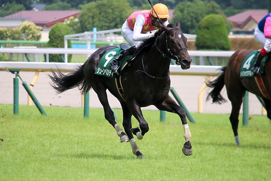 レース結果にも大きく影響？ 競馬と天気の関係について 季節・暮らしの話題 2023年12月01日-