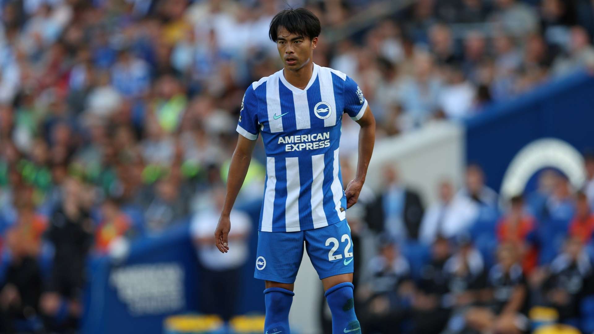 Amazon.co.jp: ブライトン・アンド・ホーヴ・アルビオンFC キャップ