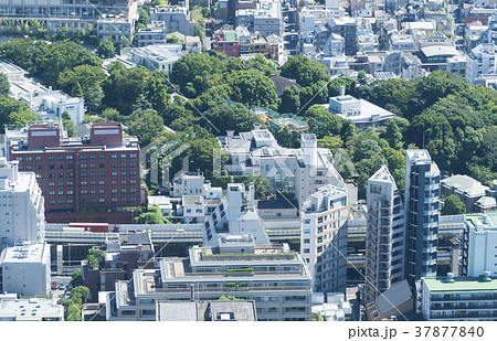 広尾東京タウンガイドページ 4