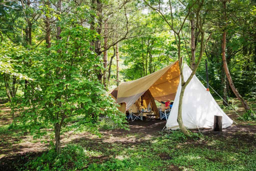 埼玉県 予約不要で利用できるキャンプ場一覧Camp Navi -キャンプなび