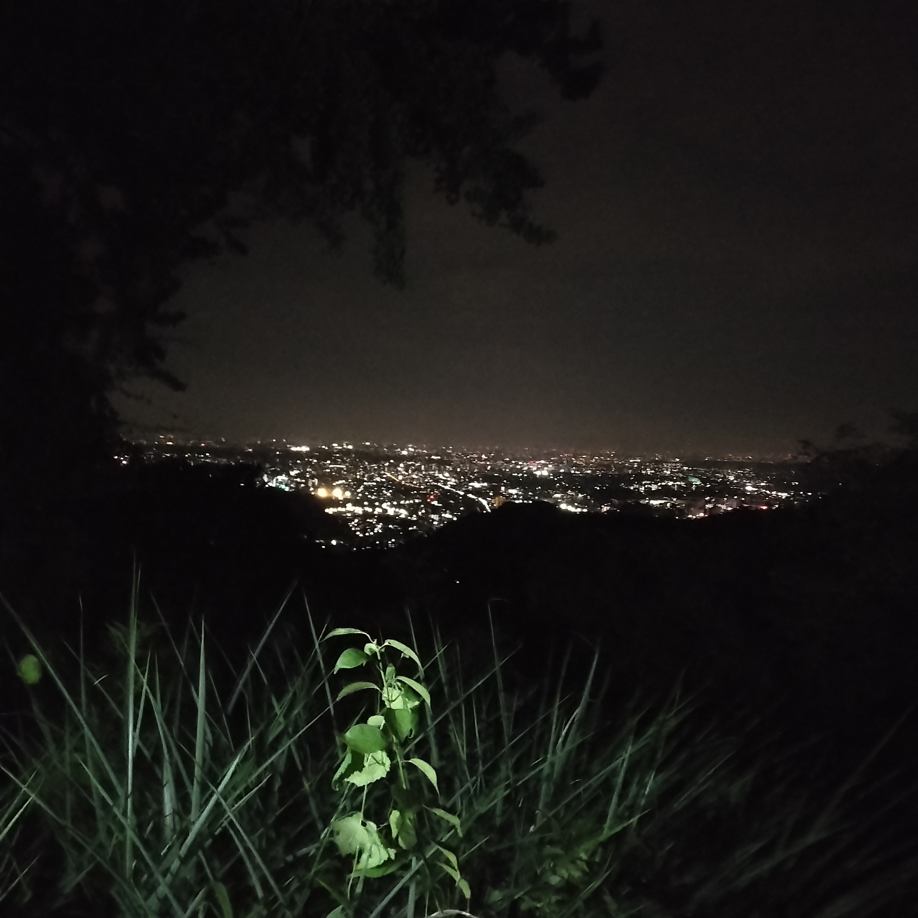 難易度別 ナイトハイクに向いている山と注意点 – キャンプクエスト