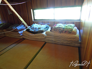 雨と岩魚の薬師沢 前編- 山と溪を旅して