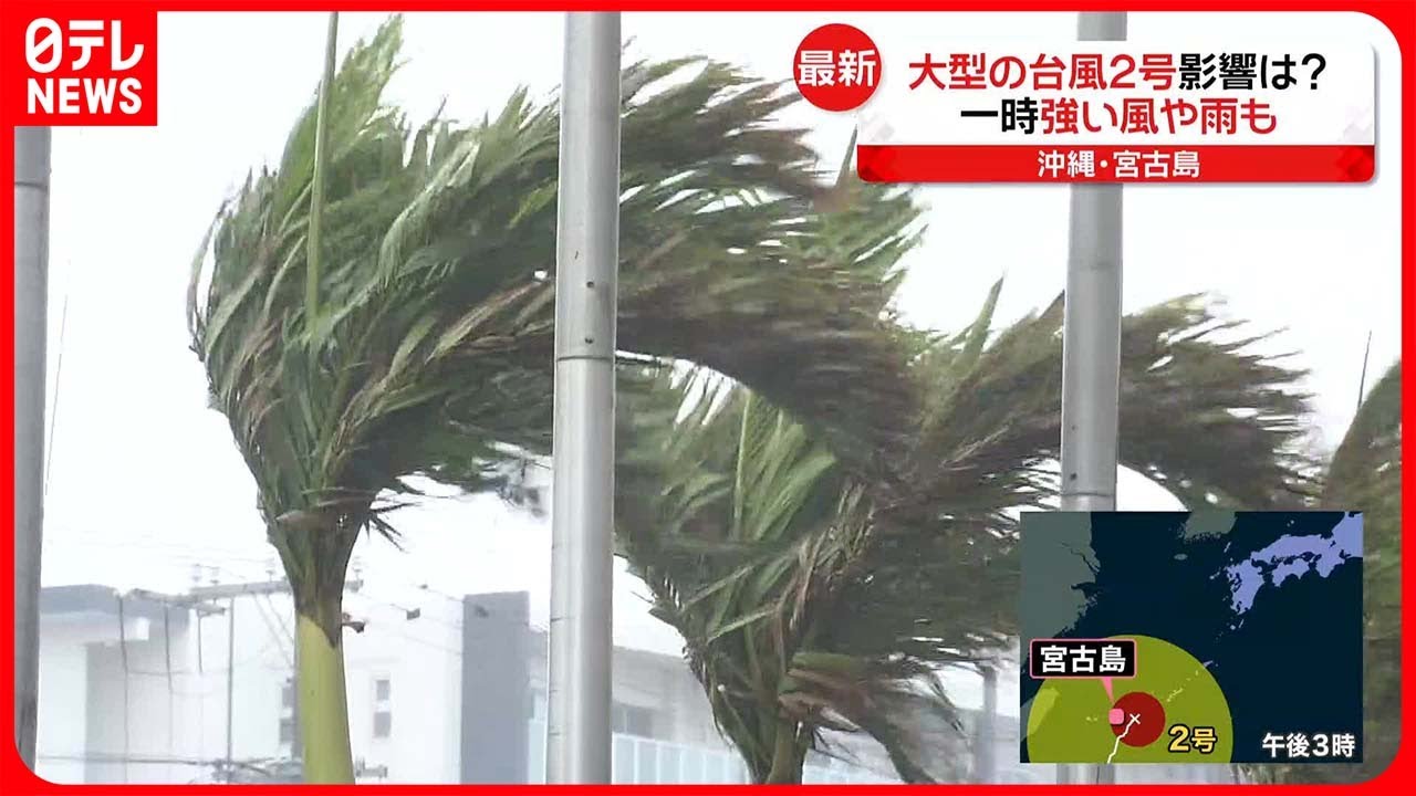台風の風対策についてくらしの情報宮古島市