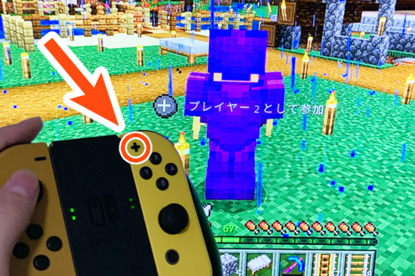 マインクラフト Nintendo Switch版
