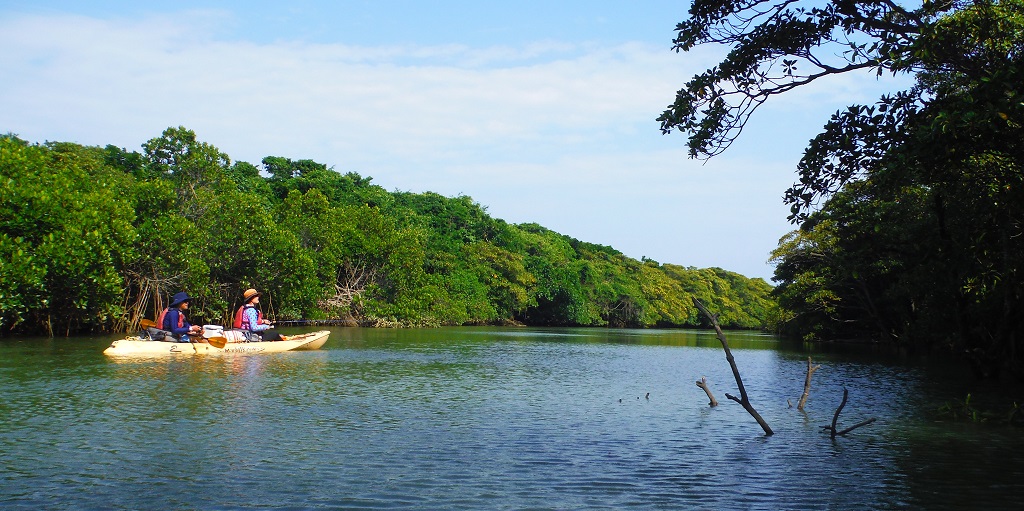 沖縄・石垣島 カヤックフィッシング！海やマングローブでカヤックからのルアーフィッシングが楽しめます。本格派から初心者まで大歓迎！ 一日楽天トラベル観光体験