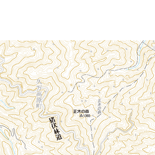 弥陀ヶ原、天狗平ハイキング 立山