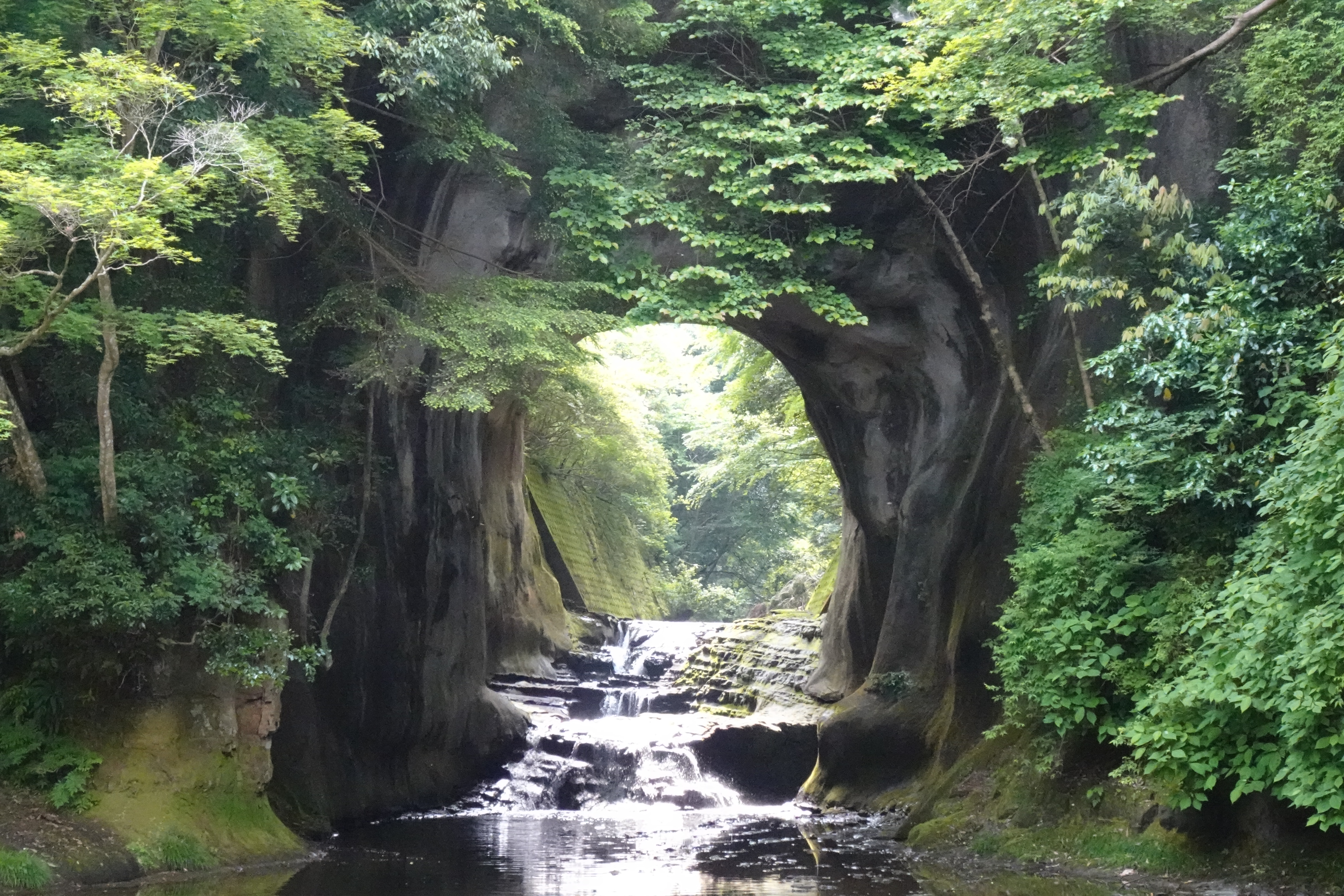 清水渓流広場の特徴は？2025 年のリアルなLemon8ユーザー体験