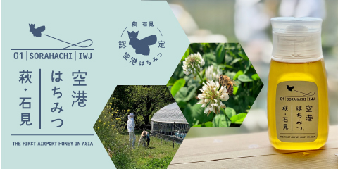 島根土産石見空港限定など！手土産に喜ばれる人気の食べ物の通販おすすめランキングベストオイシ