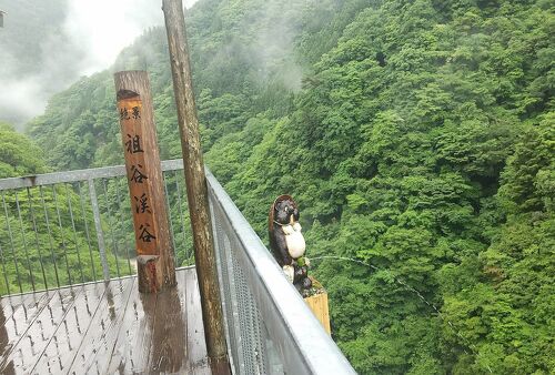 祖谷のかずら橋』 徳島県三好市子供とお出かけ情報「いこーよ」