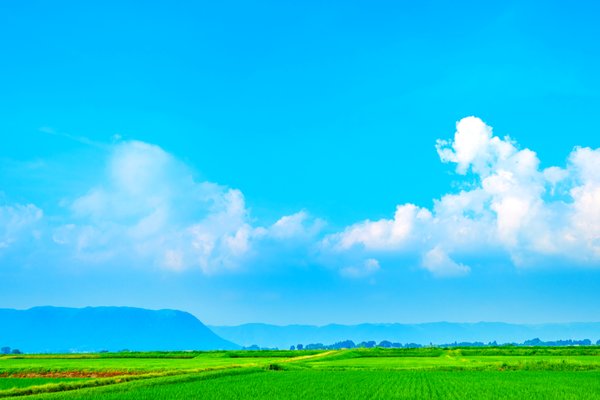 自然体験のんびり田舎体験♪夏休みのそらまめ村へ行こう！そらまめ村体験ツアーそらまめキッズアドベンチャ
