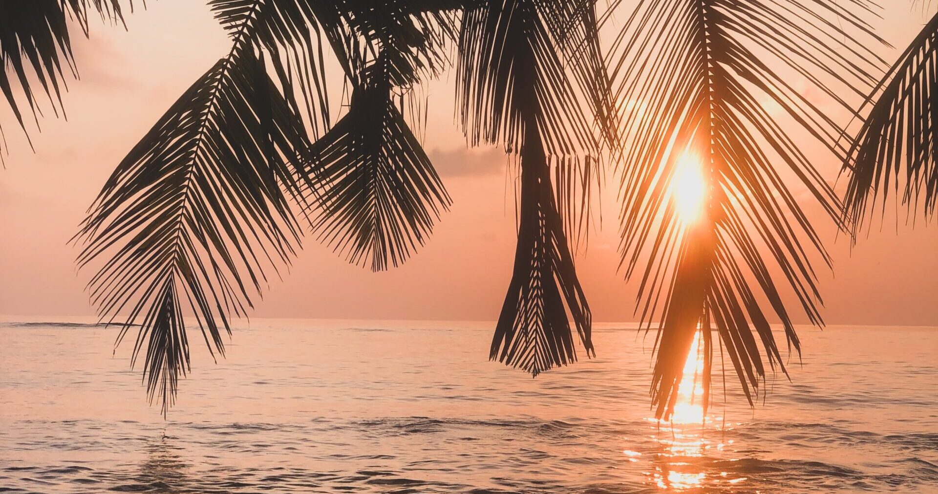 ハワイの日没時間とは？ワイキキでサンセットを楽しむポイントを紹介TABI HOME