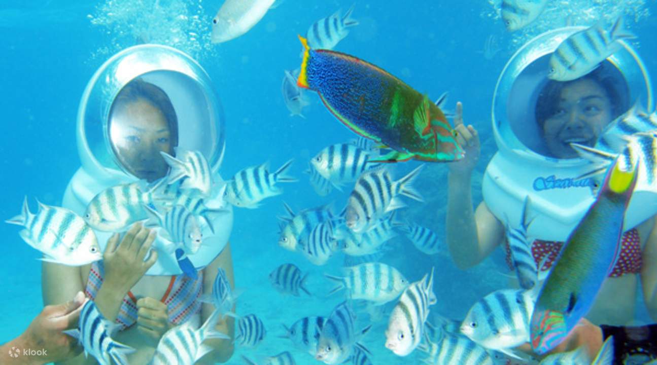 マリン&ウォークヨコハマでインスタ映えスポットを探してきましたもふろぐ＠