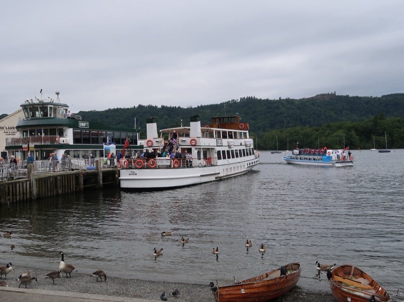 ウィンダミア湖：24時間自由乗降クルーズ。湖の全景をお楽しみくださいGetYourGuide