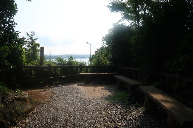 椿展望台」は大きな椿の木と美しい海景色そして「獅子岩」を望める絶景スポット 珠洲市のとルネ