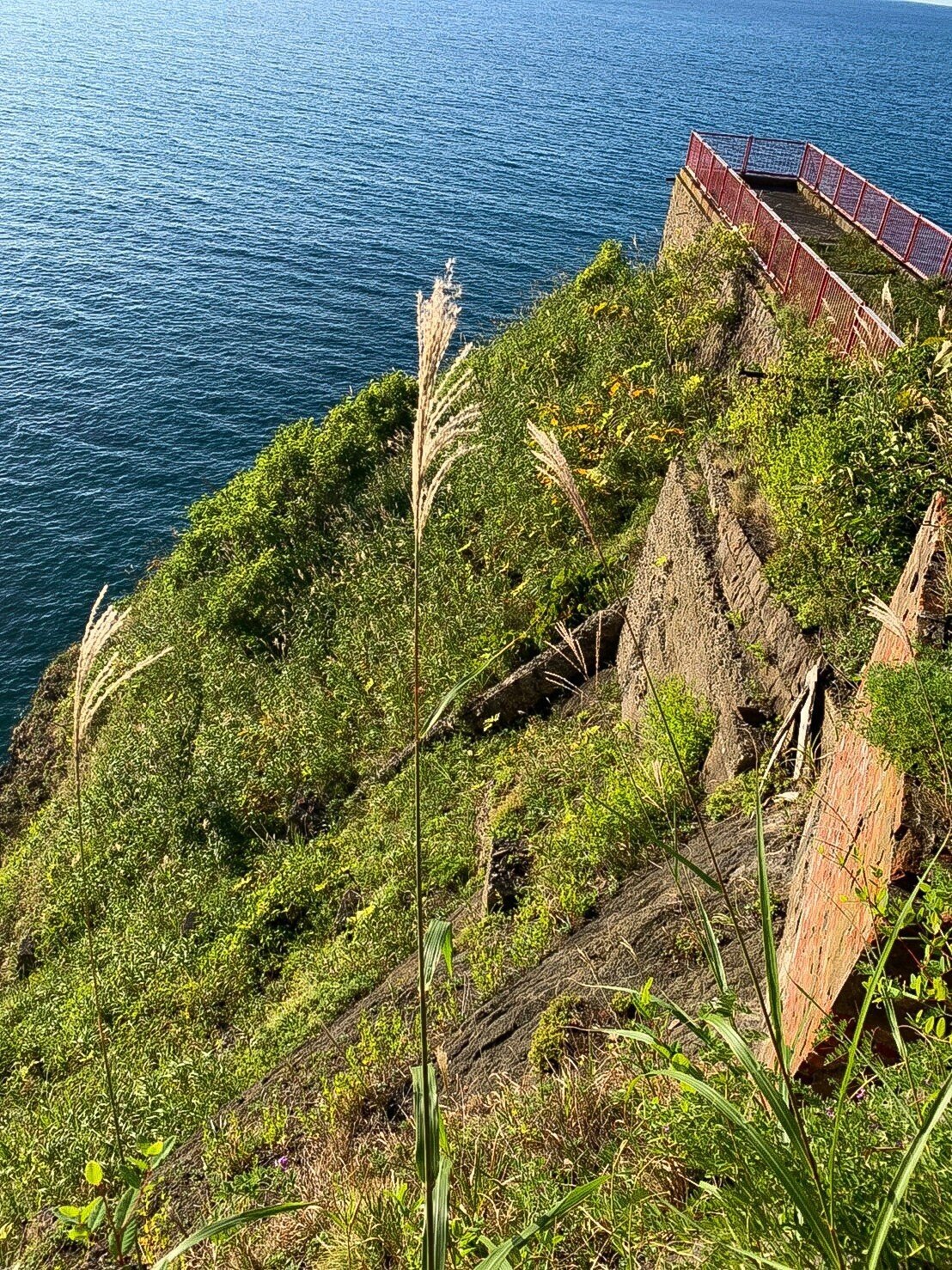 小樽・オタモイ秘境特集シリーズ4オタモイ遊園地・龍宮閣とオタモイ地蔵尊 : 純喫茶ヒッピー