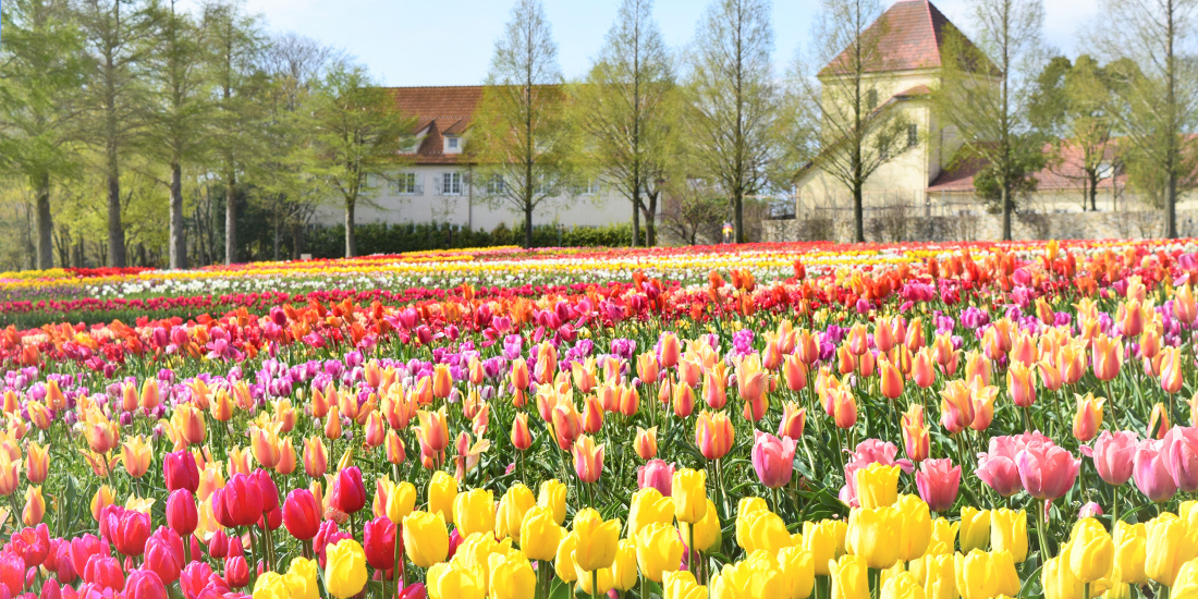 滋賀県の絶景スポットの写真素材 - PIXTA