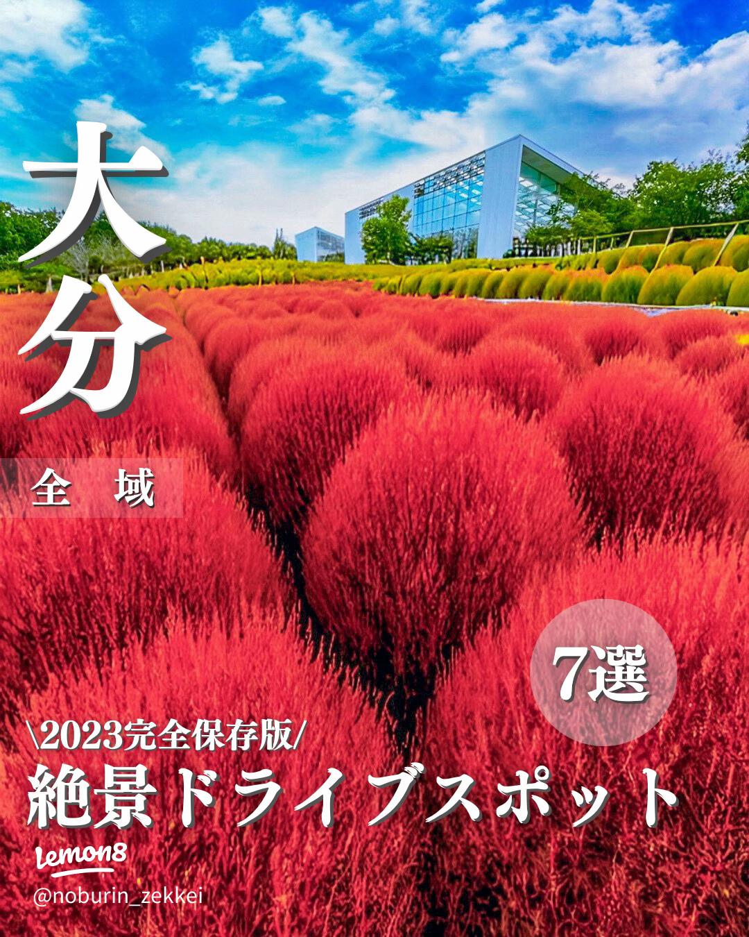 大分の雨の日を楽しむデートスポットおすすめ16選！定番から穴場まで！RETRIP リトリップ