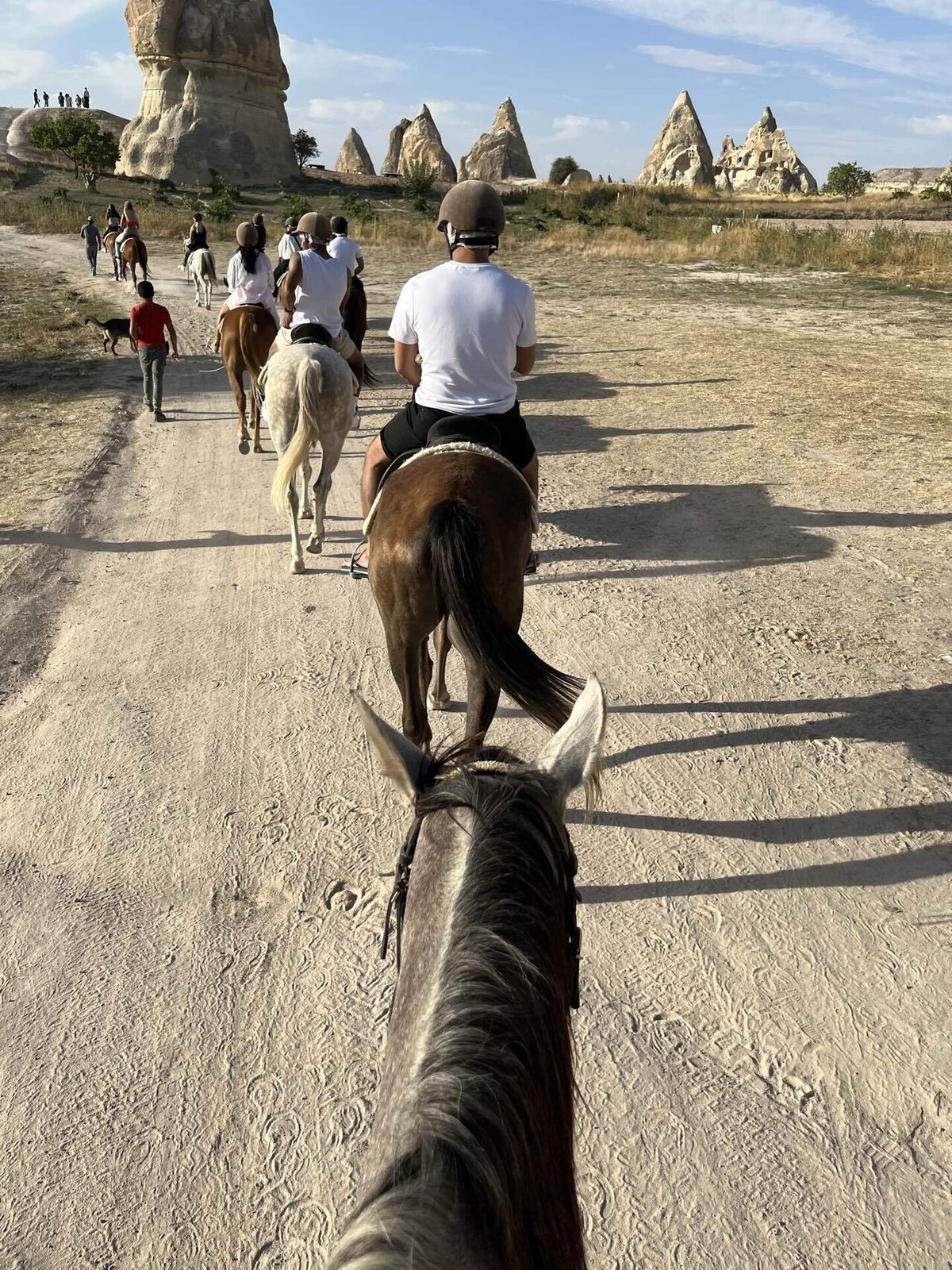 旅 ウチヒサール城へのバス大納言 いとをかし マレーシア
