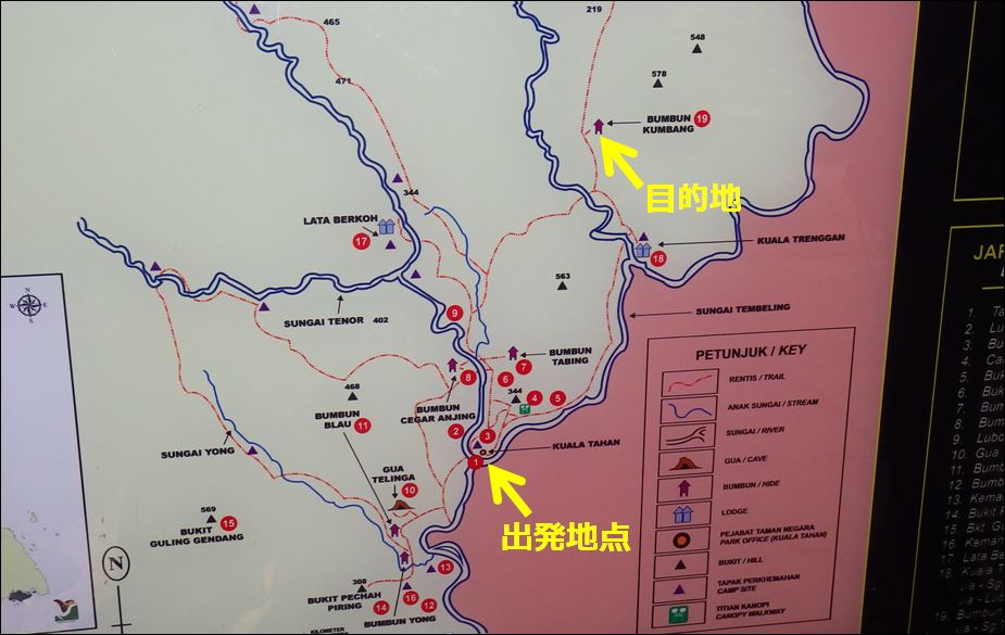 タマン・ネガラ公園1日プライベートツアークアラルンプール発 2025