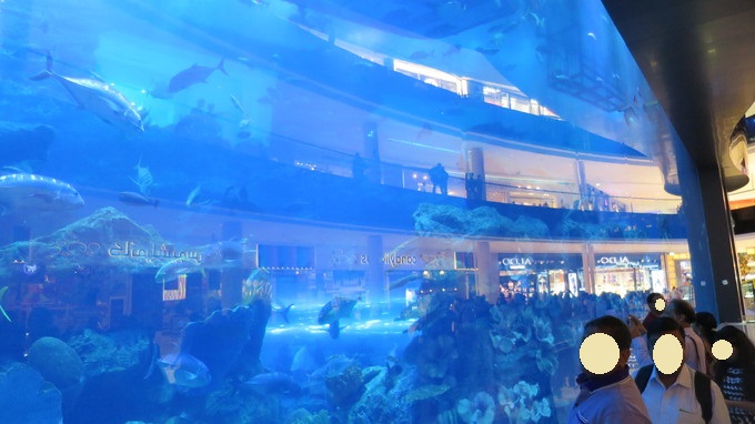 モールの中に水族館？キッズも大人も楽しめるドバイ水族館&水中動物園 Dubai Aquarium＋UnderwaterZoo AmazingactivitiesAmi-Go!